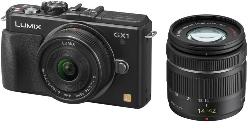 LUMIX DMC-GX1W ダブルレンズキット