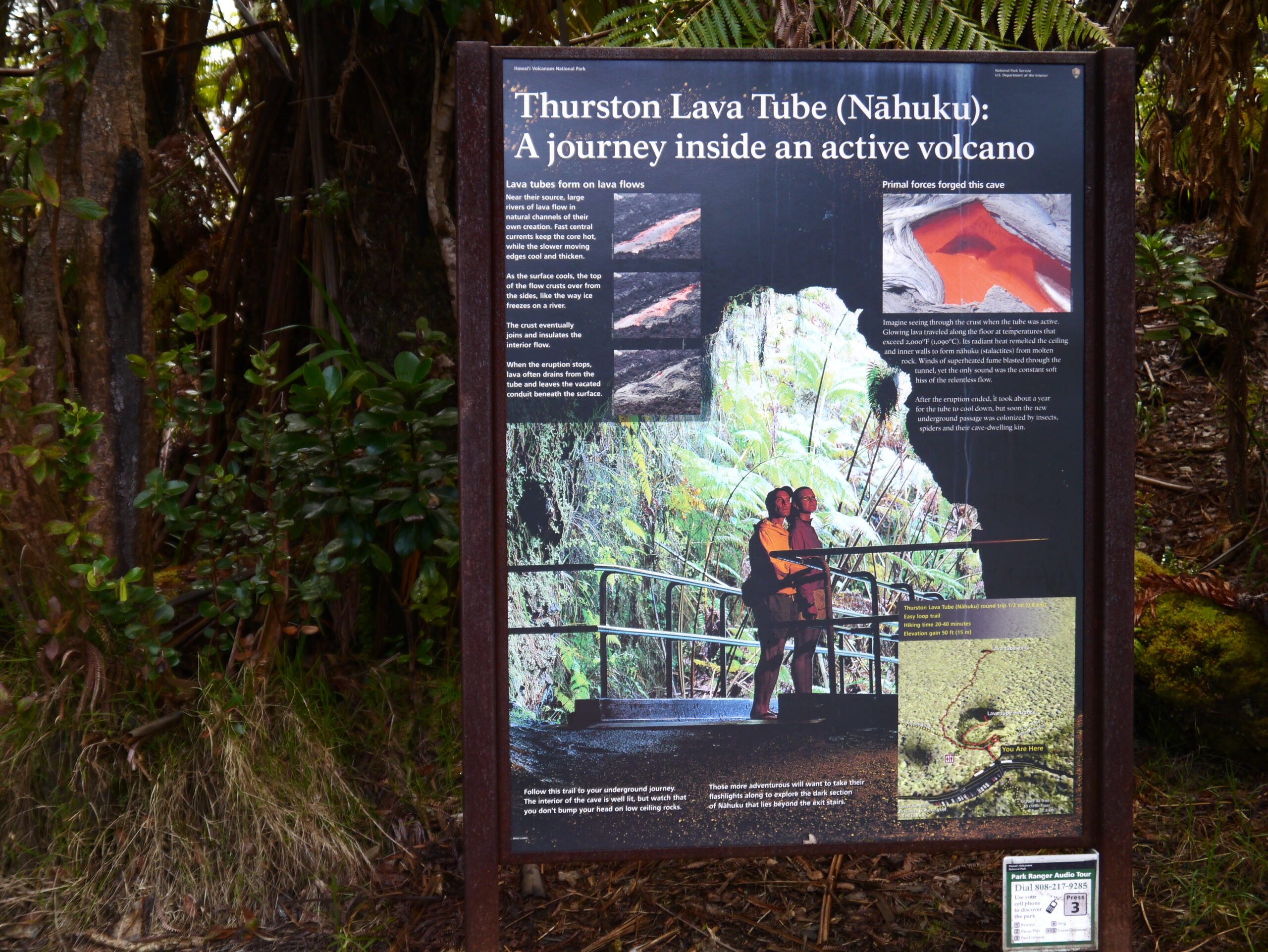 サーストン・ラバ・チューブ