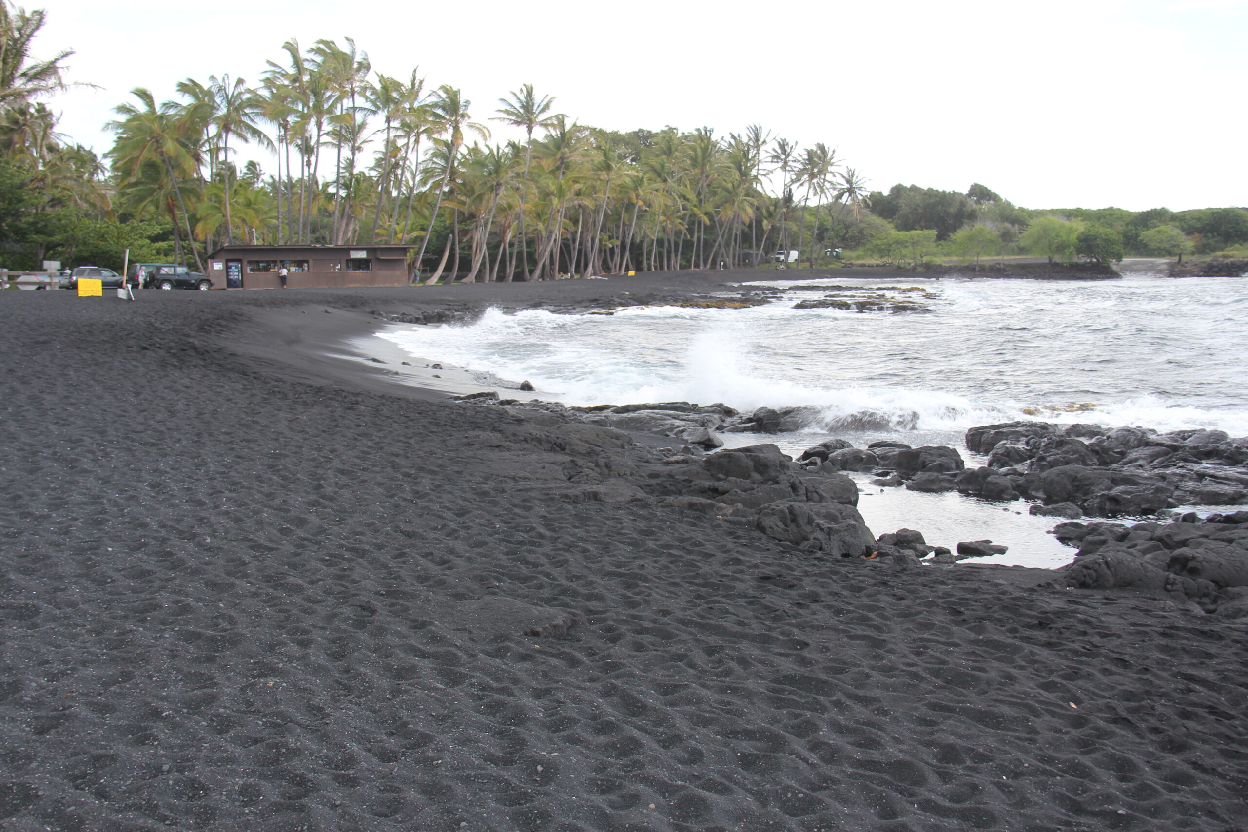 ハワイ島 プナルウ黒砂海岸ホヌ