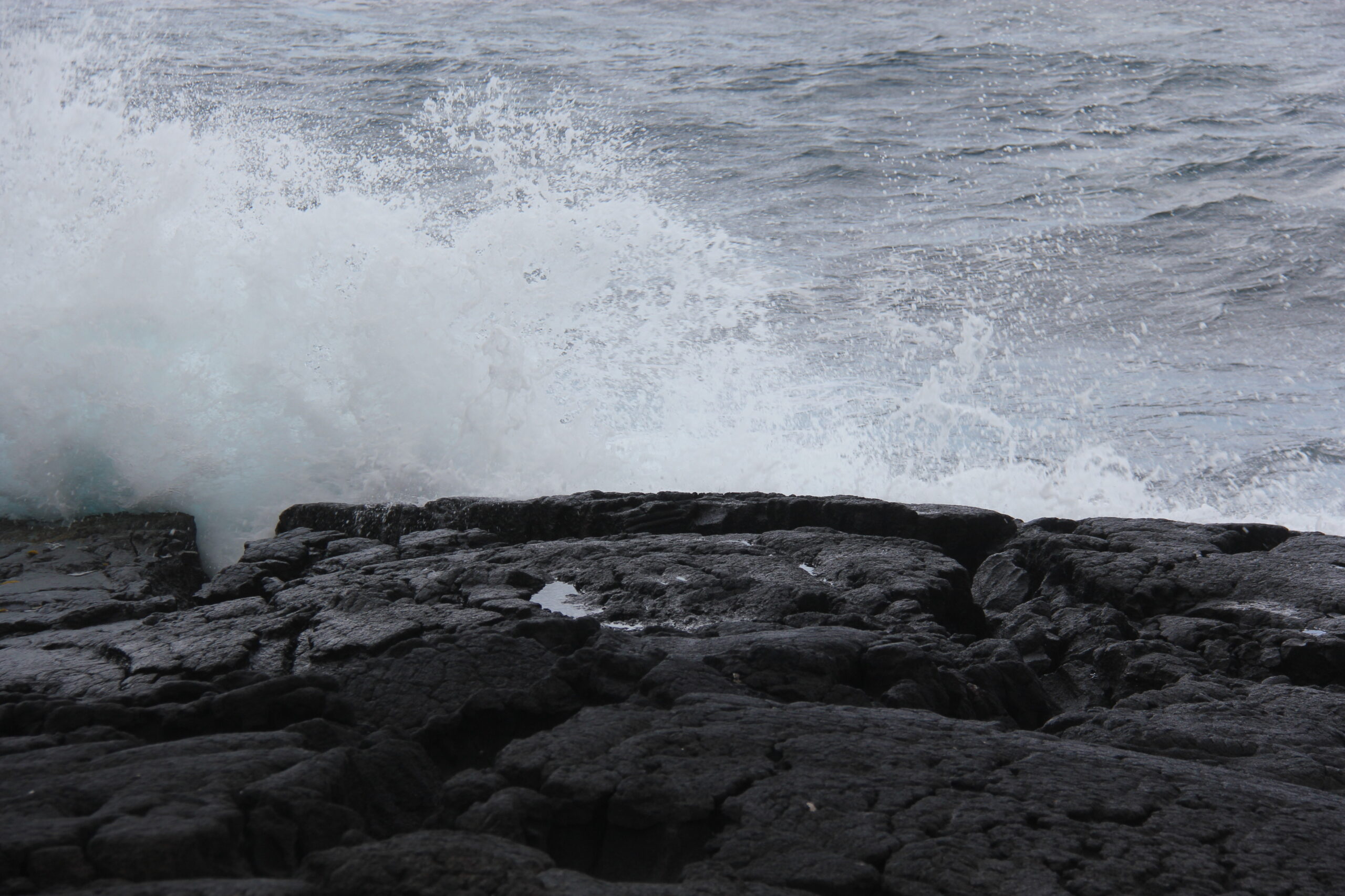 ハワイ島 プナルウ黒砂海岸ホヌ