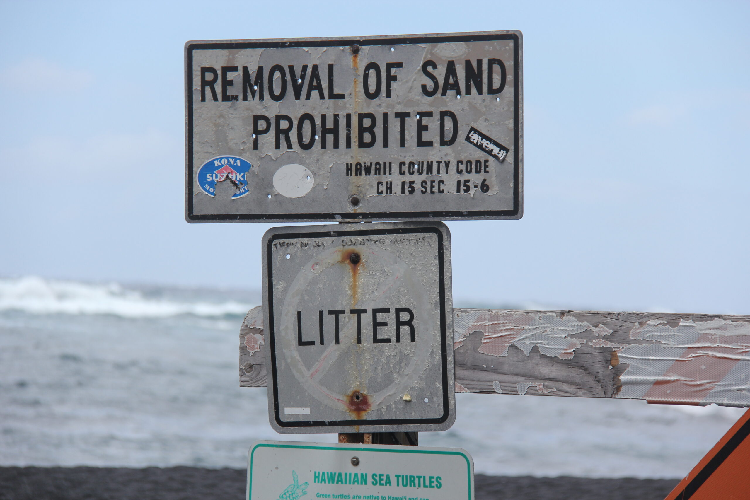 ハワイ島 プナルウ黒砂海岸ホヌ