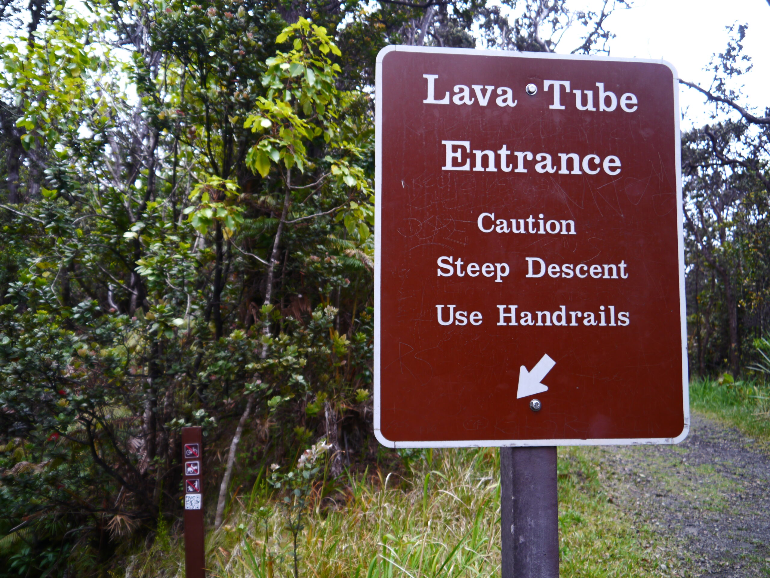 サーストン・ラバ・チューブ