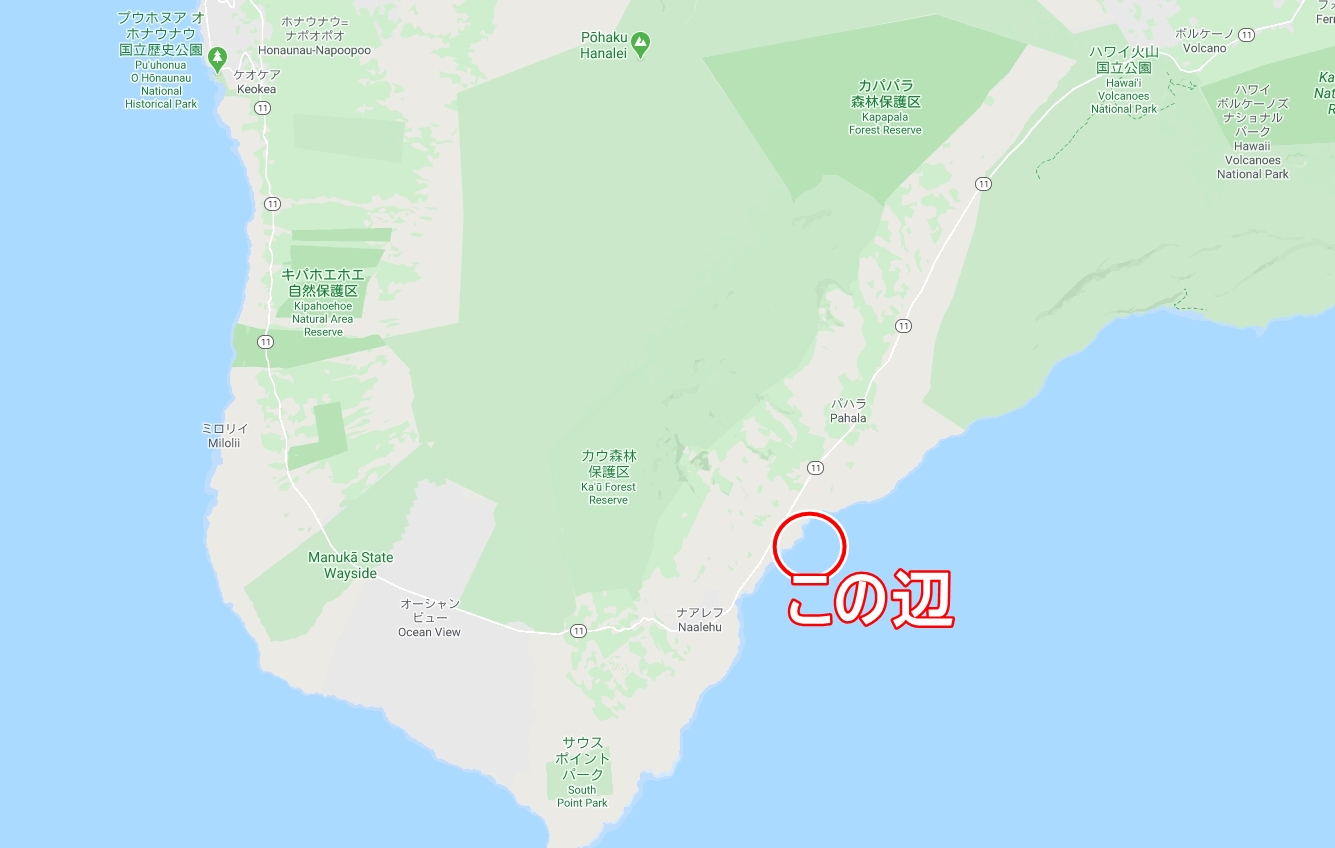 ハワイ島 プナルウ黒砂海岸