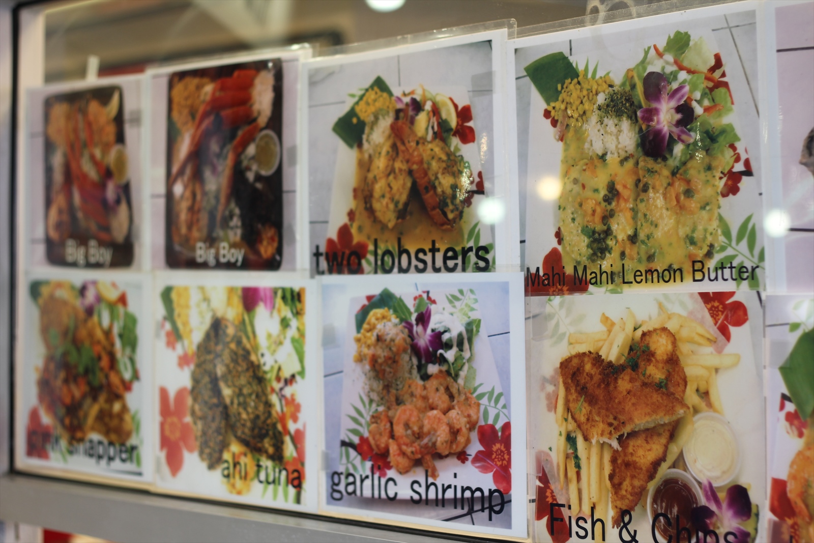 ブルーウォーターシュリンプ