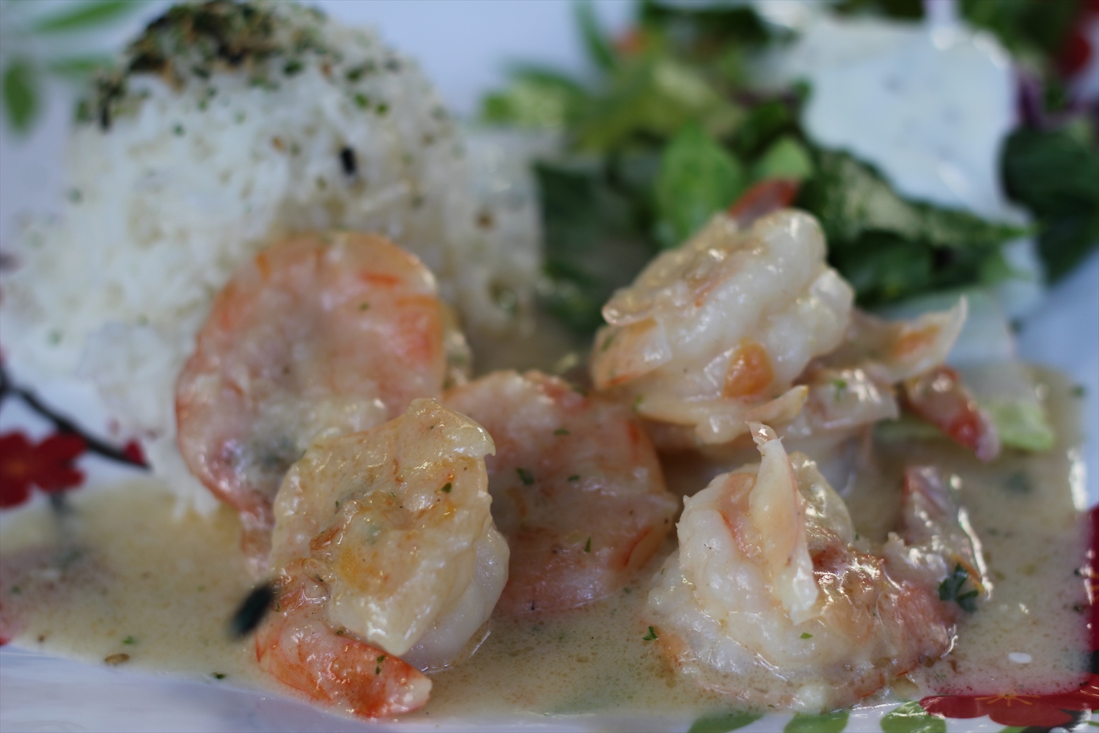 ブルーウォーターシュリンプ