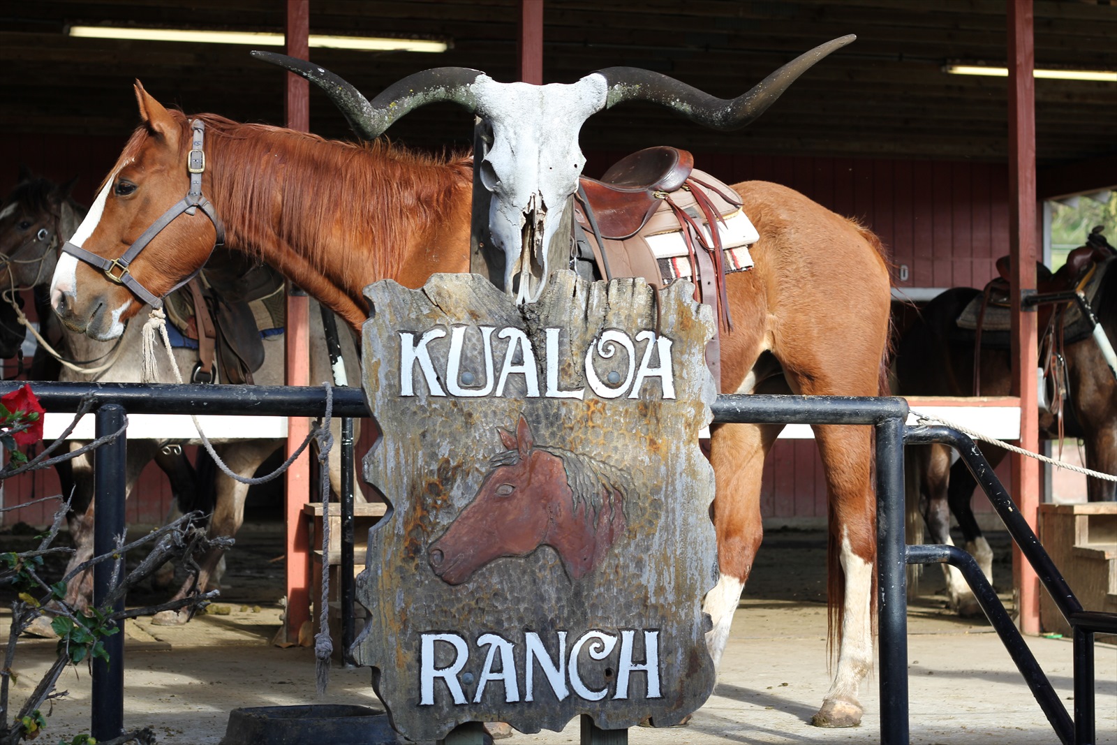 クアロアランチ