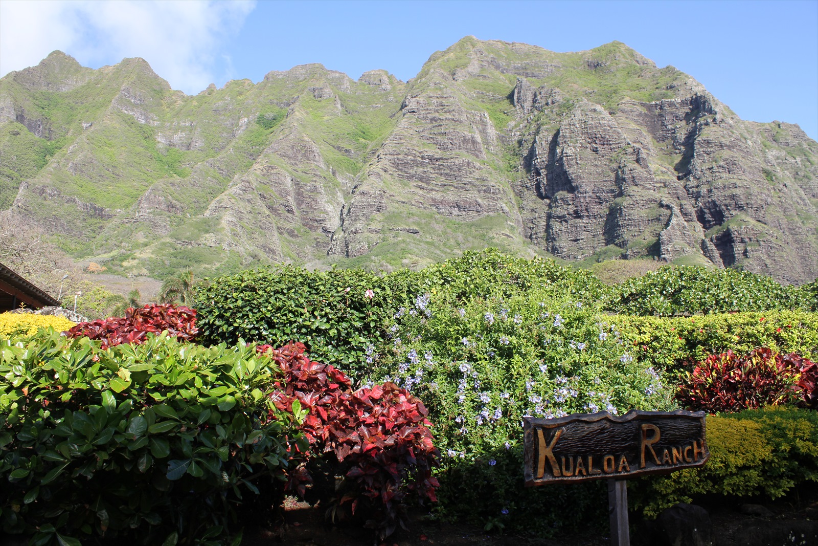 クアロアランチで初の乗馬