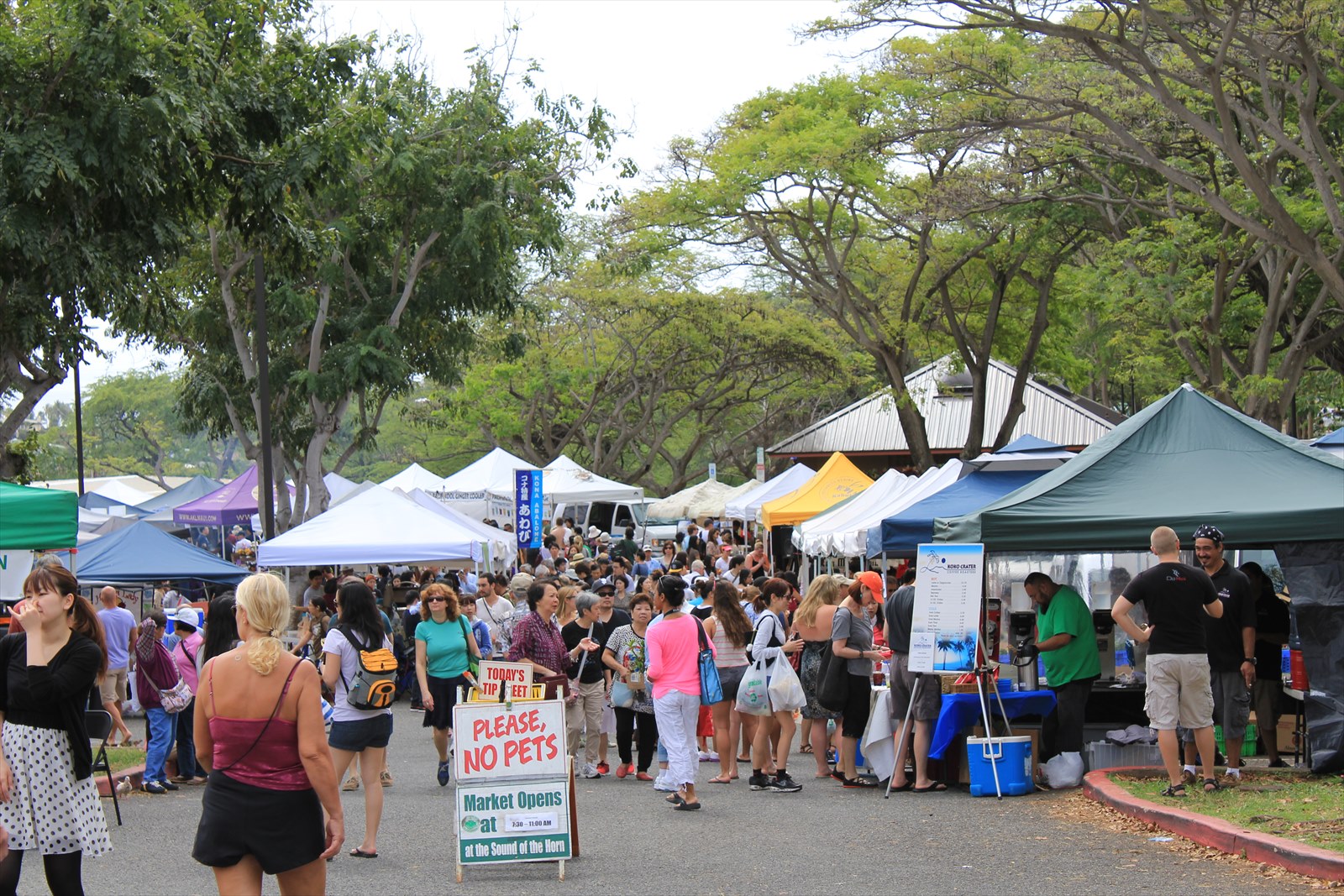 KCCファーマーズマーケット