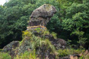 【陰陽石】なんじゃこりゃ！性器の石がすごい大きな男根！宮崎県自然遺産！