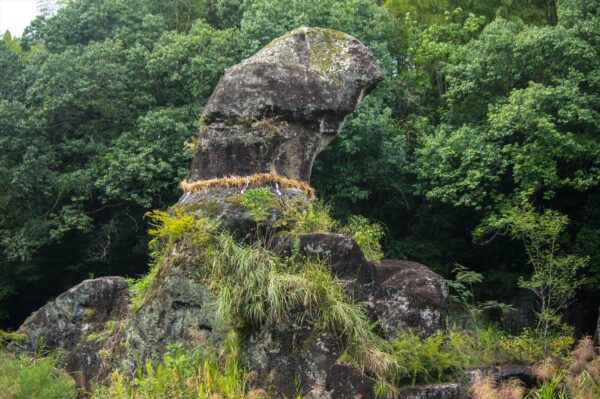 【陰陽石】なんじゃこりゃ!性器の石がすごい大きな男根!宮崎県自然遺産!