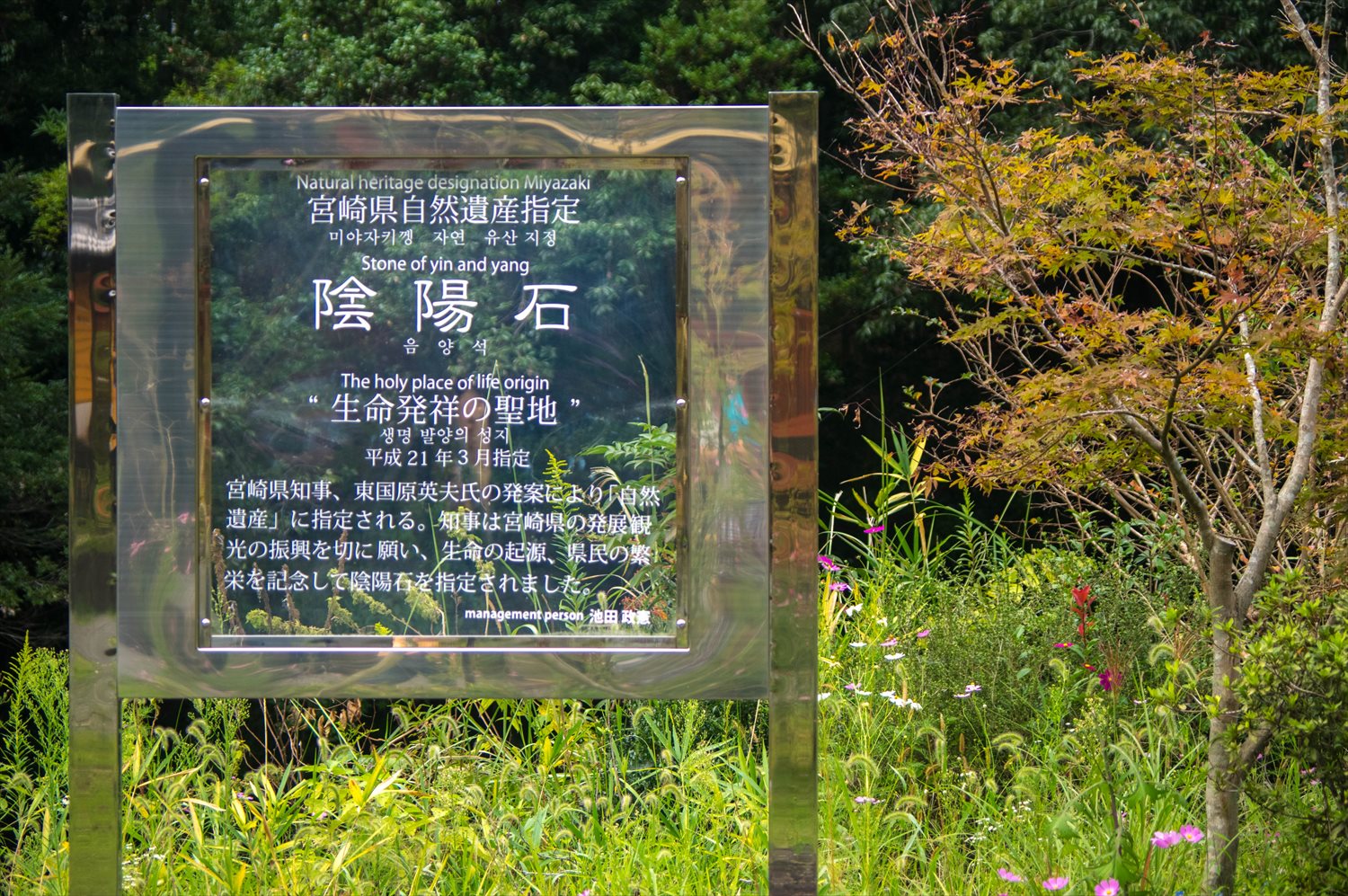 陰陽石 宮崎県の自然遺産 性器の石