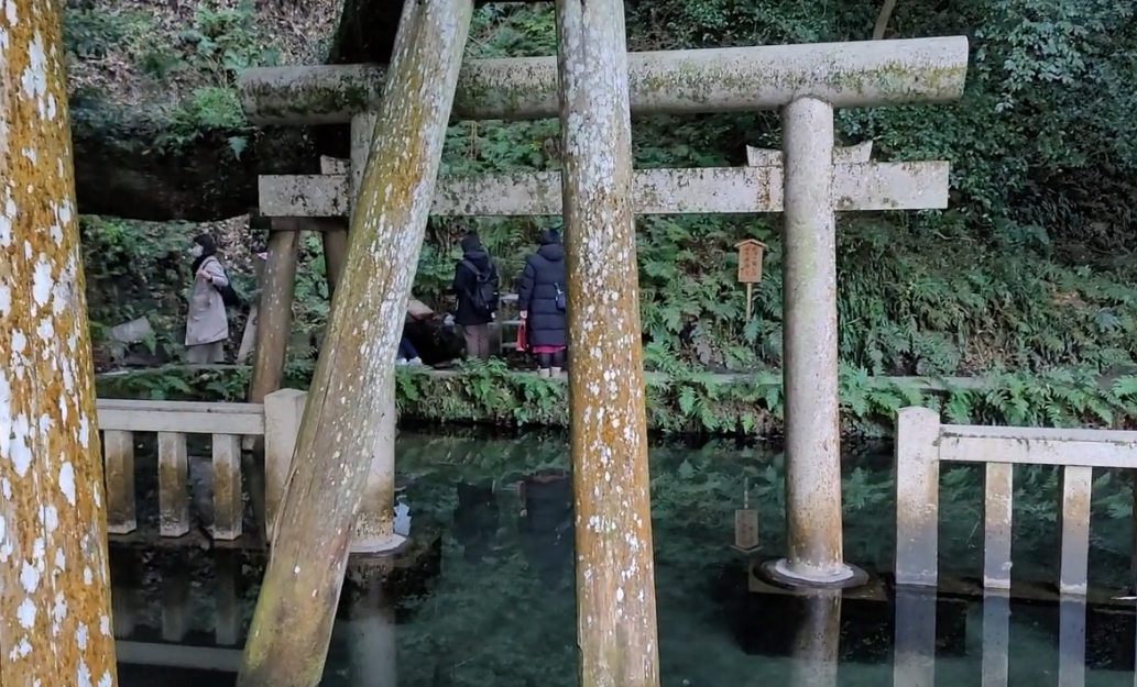 御手洗池（みたらしいけ）