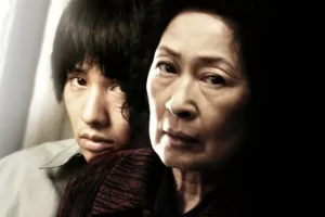 【母なる証明】韓国おすすめサスペンス映画！ついに観てしまった( ;∀;)