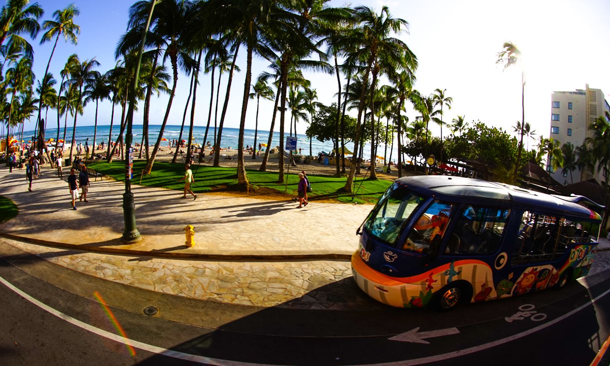 ハワイ プロフィール