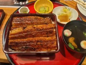 【鰻う おか冨士】4840円の上うな重!愛知県名古屋市の伏見にある贅沢うなぎ!