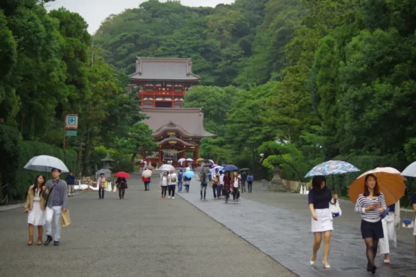 【鶴岡八幡宮】雨の日に龍穴の道を歩いて鎌倉でパワーを頂く!