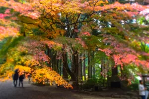 【世界遺産中尊寺金色堂】国宝建造物第1号から御朱印集め始めます