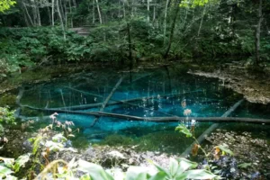 神の子池は超パワースポットでしたー!