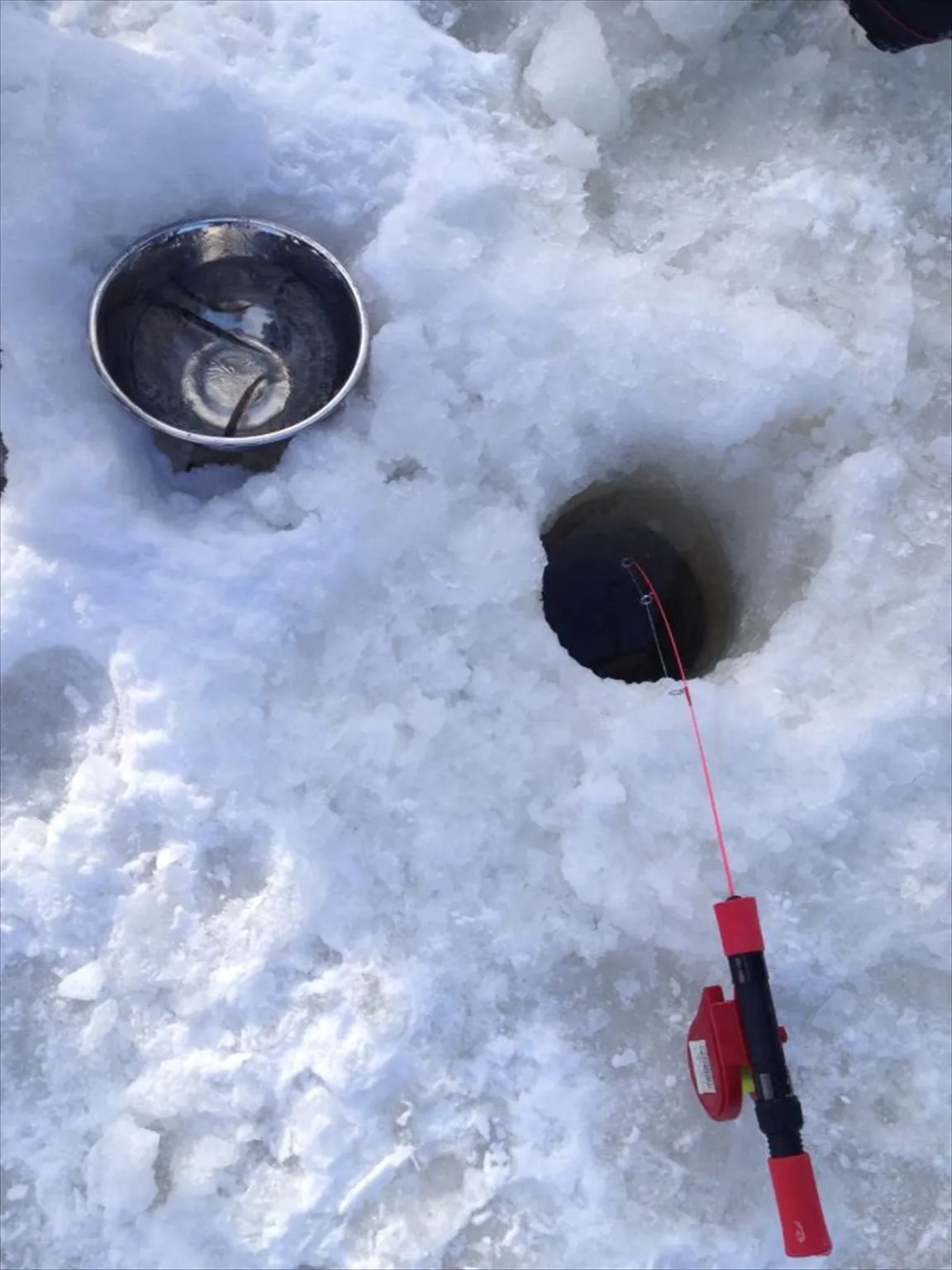 テントの外でもワカサギ釣り