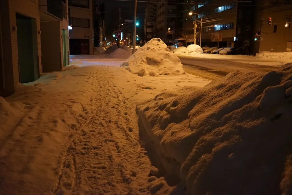 ソニーα7ミラーレス一眼デジラルカメラ