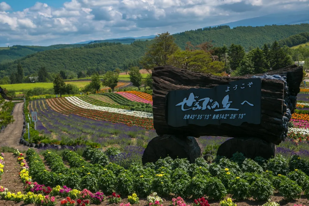 北海道2日目 美瑛・富良野
