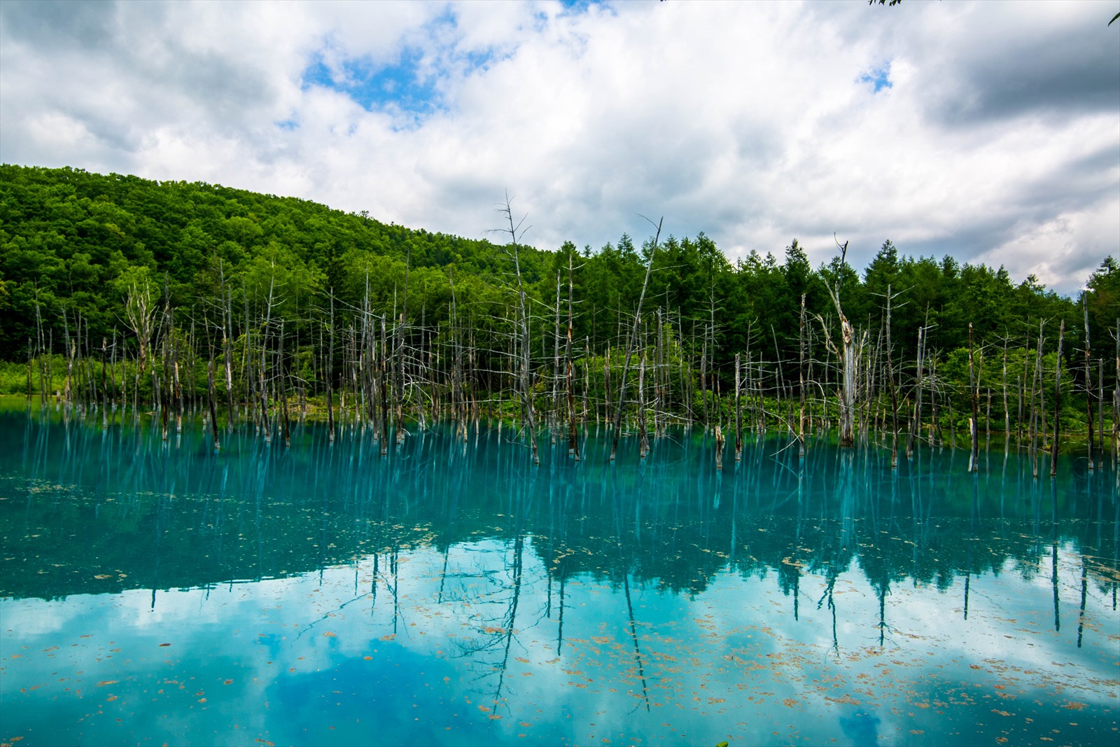 青い池