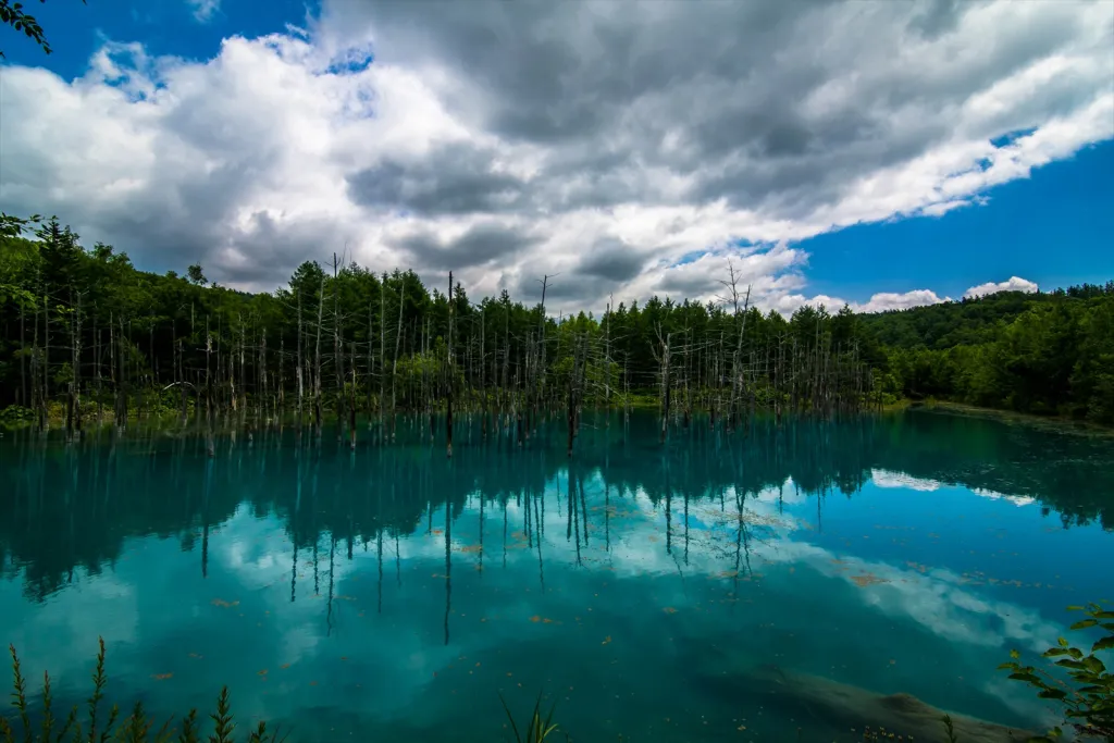 青い池