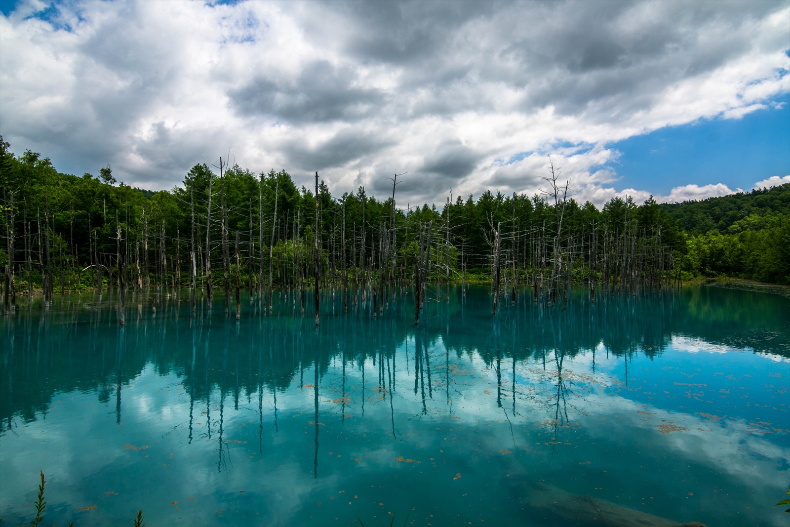 青い池