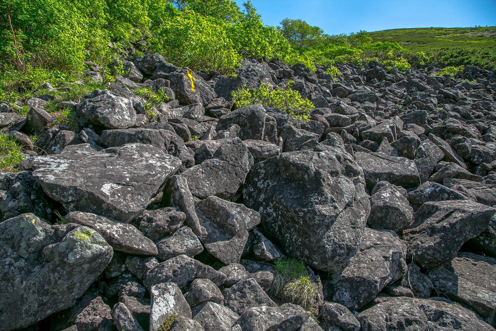 トムラウシ山 登山記録