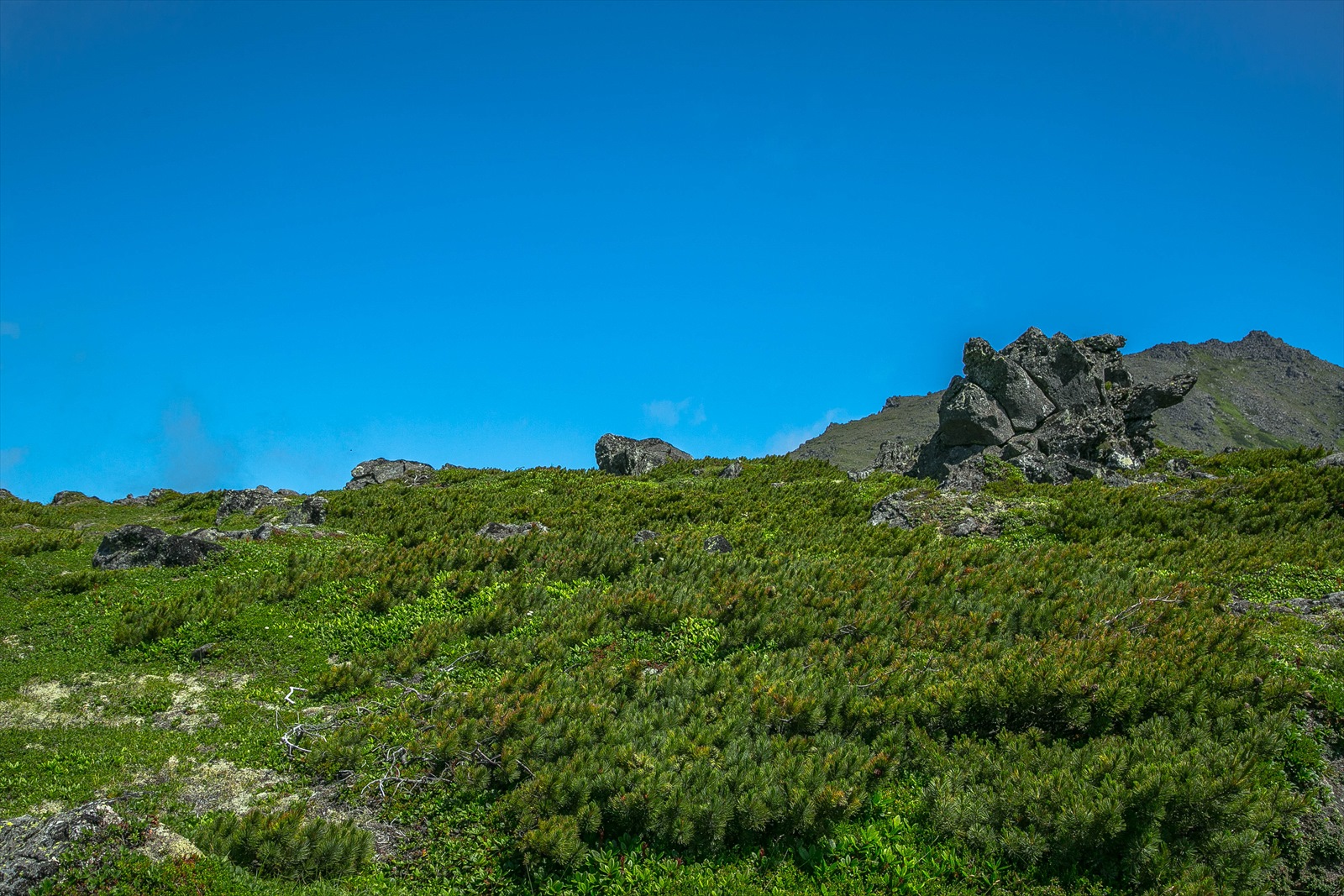 前トム平 トムラウシ登山