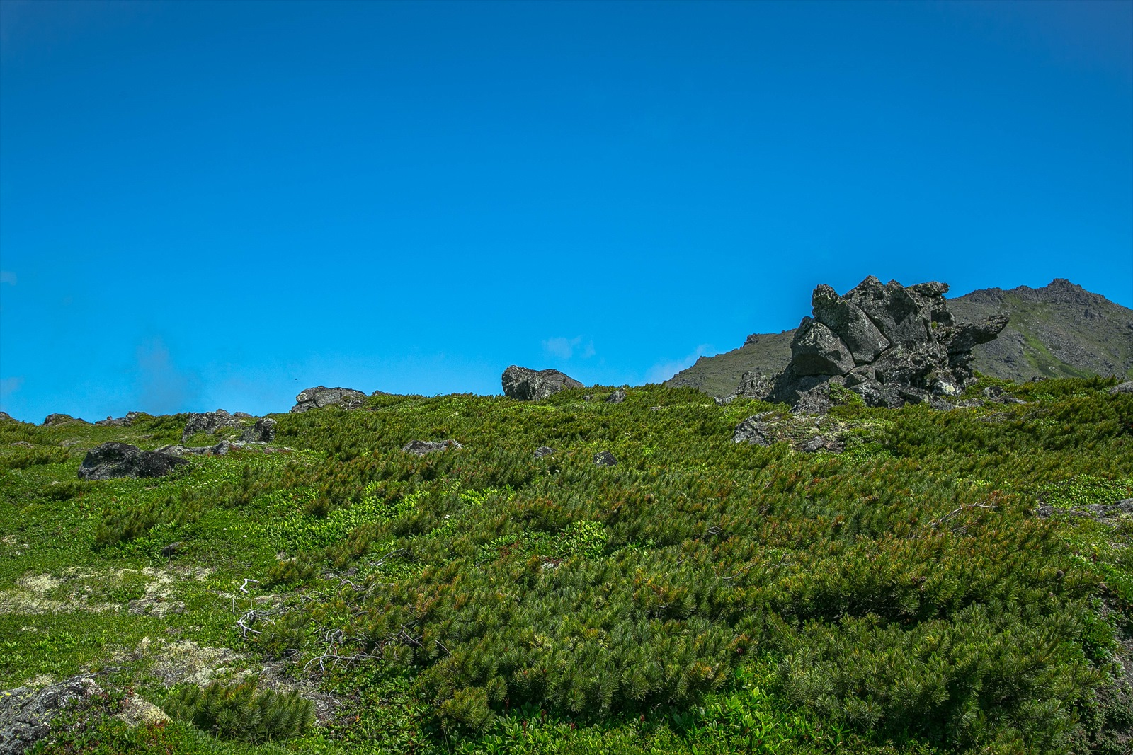 前トム平 トムラウシ登山