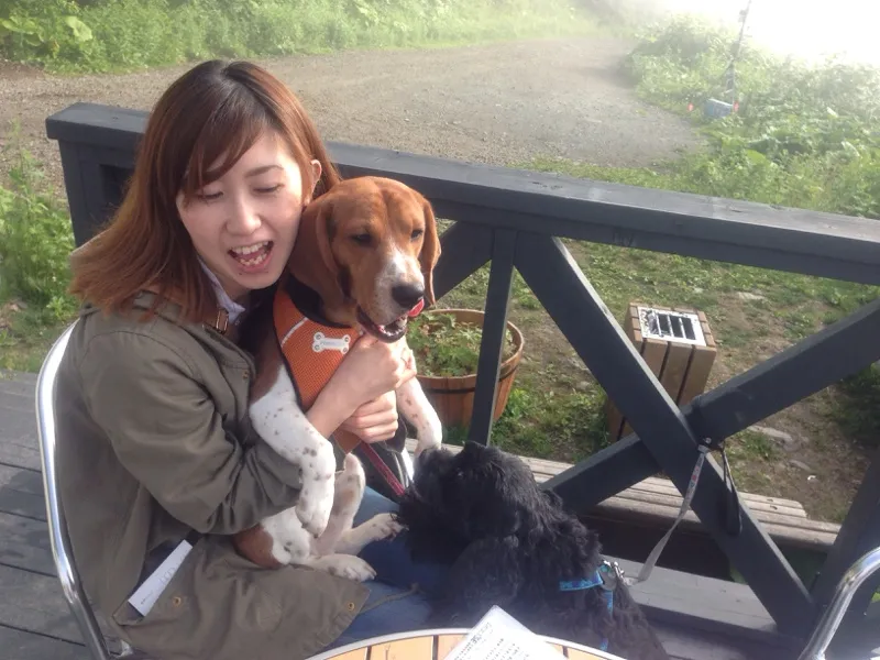 北海道トマム 雲海テラス