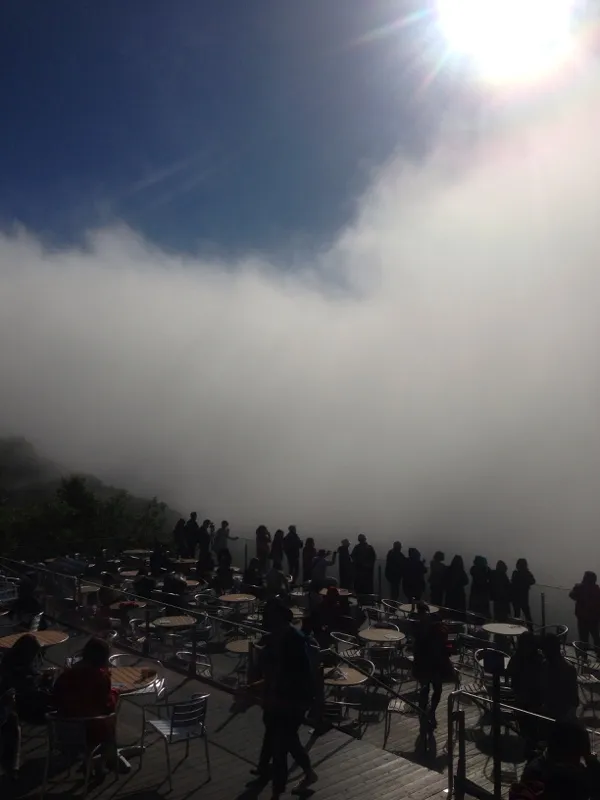 北海道トマム 雲海テラス