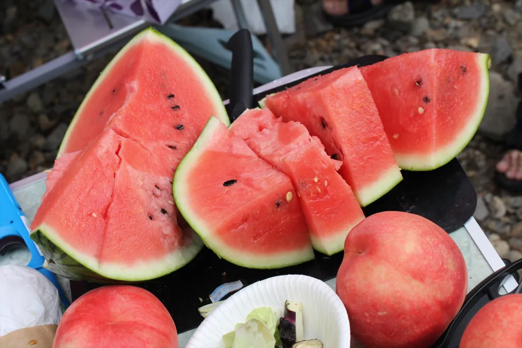 十五島公園の川沿いでバーベキュー