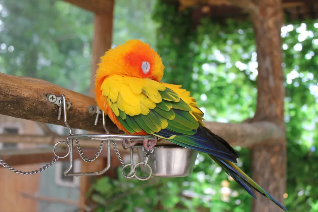 ノースサファリ 札幌