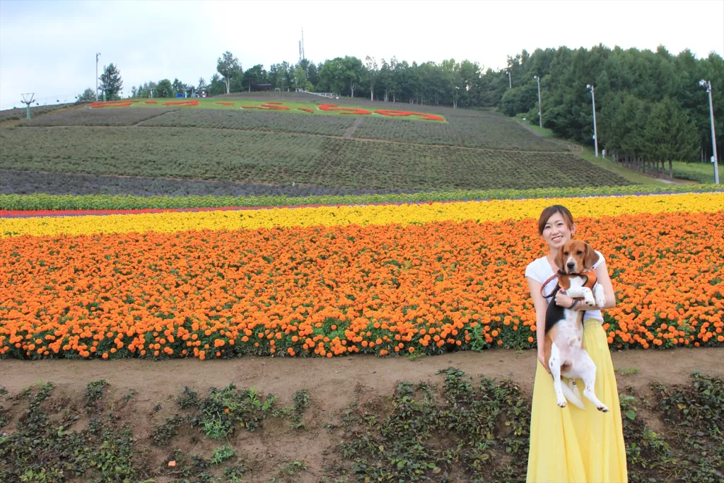 お花畑かんのファーム