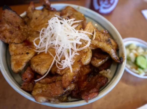 十勝豚丼 いっぴん絶品のぶたどん頂きました!