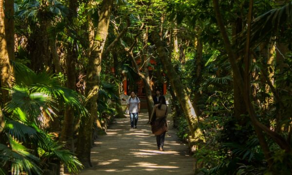 【青島神社】宮崎の縁結びのご利益があるパワースポット!