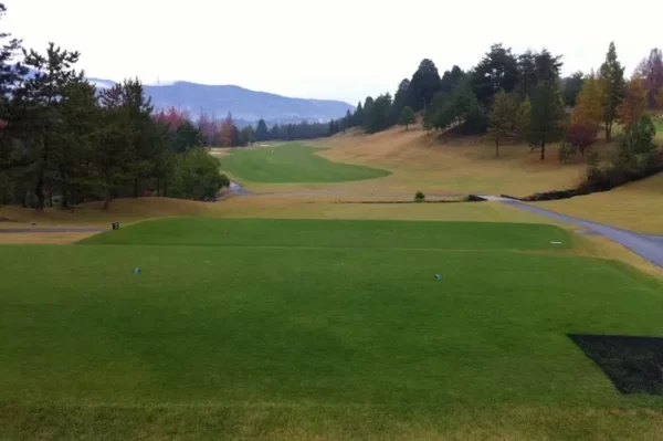 ゴルフ練習しすぎてばね指になってる。