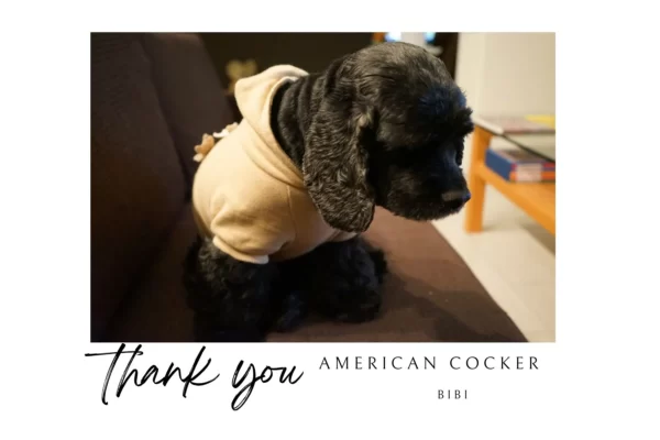 ビビは自分の一部だった 今までありがとう