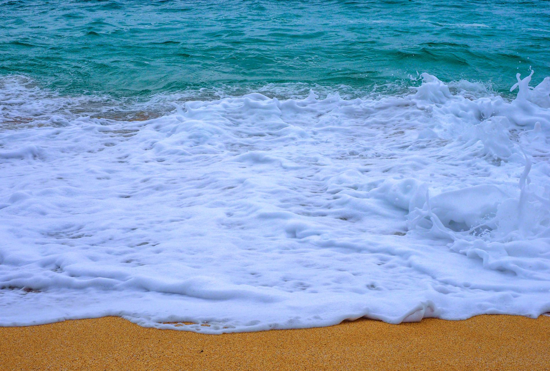 ノースショアビーチはすごすぎた