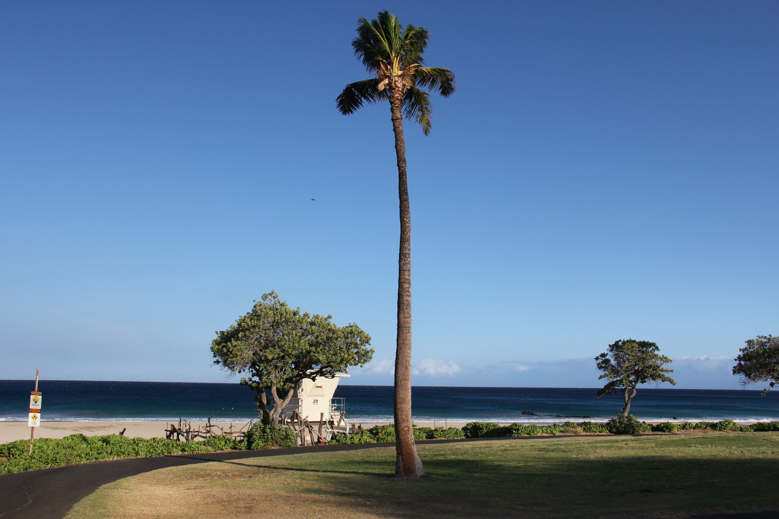 ハプナビーチ州立公園
