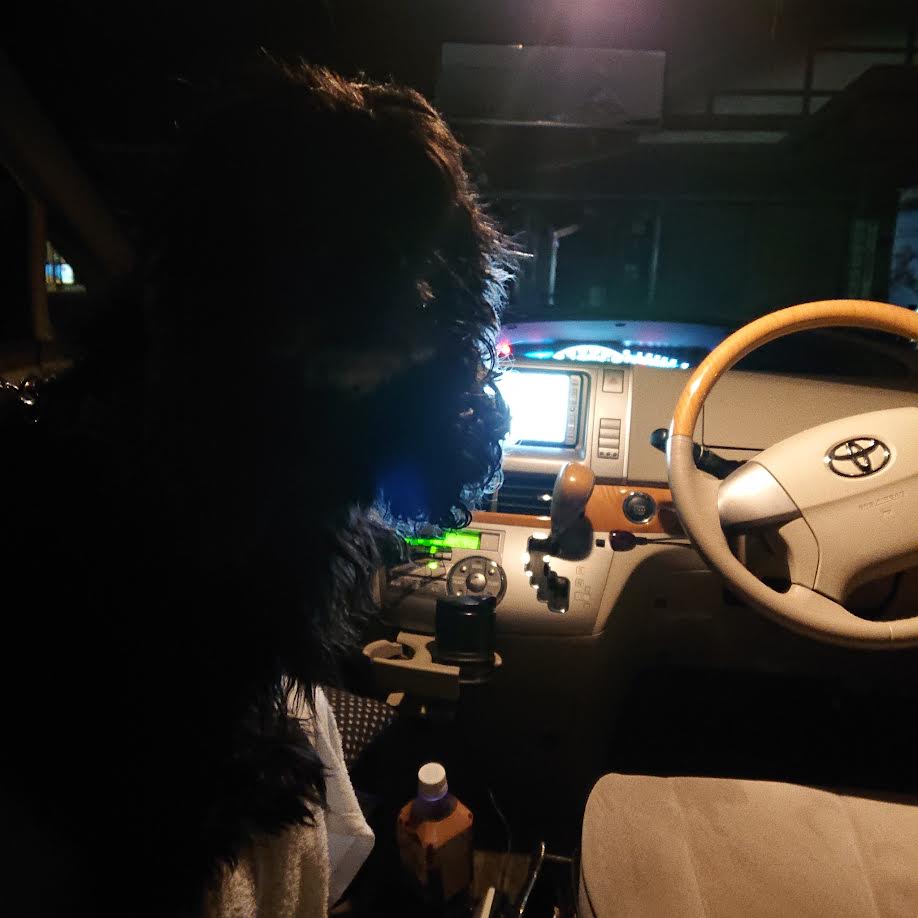 エスティマ購入