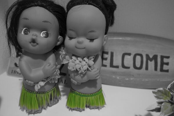 湘南生活スタート