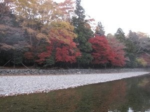 伊勢神宮で失恋