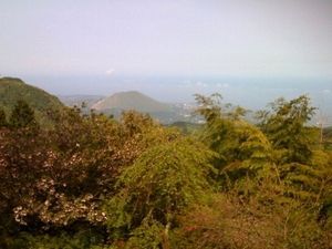 伊豆に行ってきた。