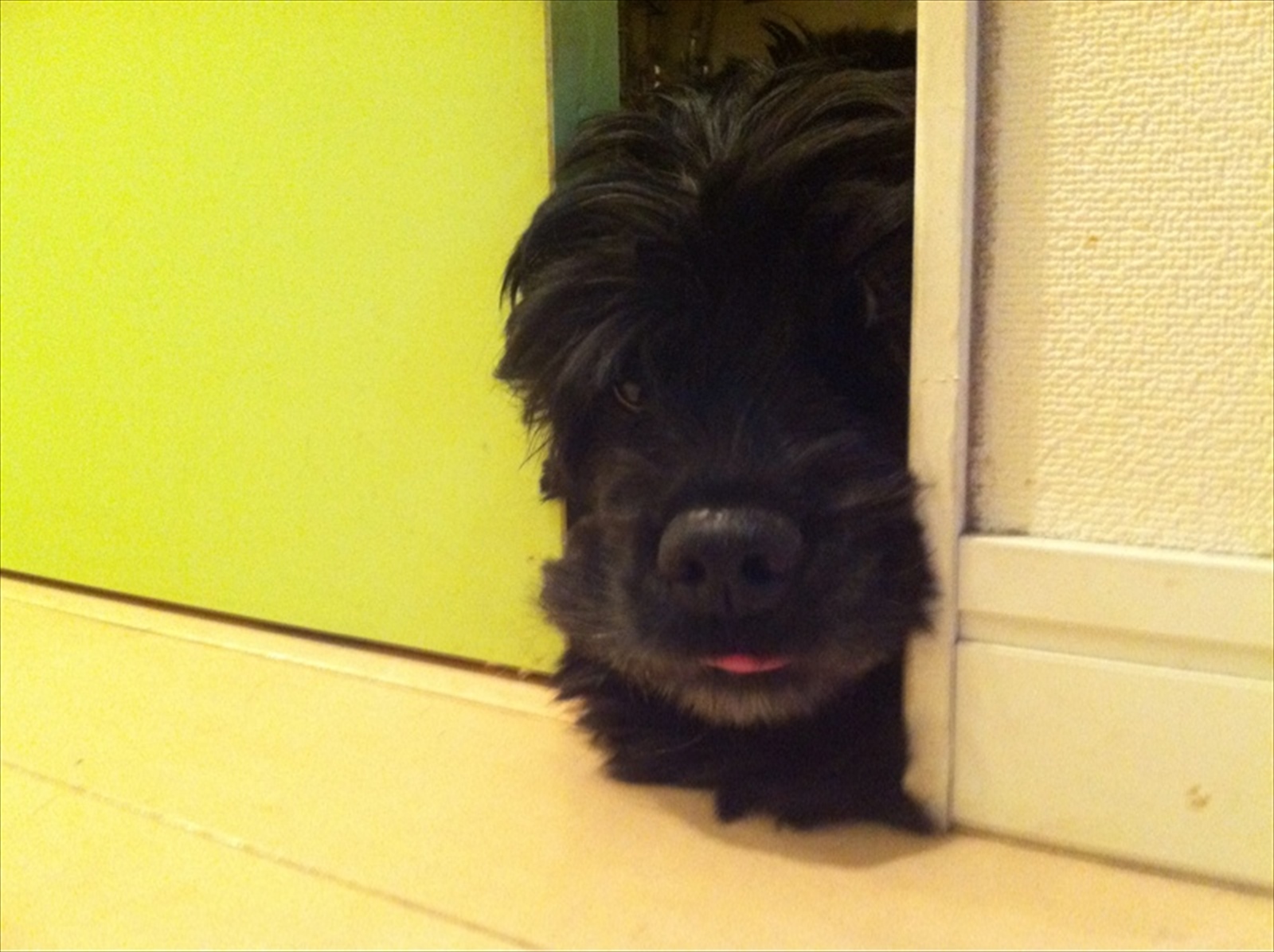 トイレに閉じこもったビビを忘れる