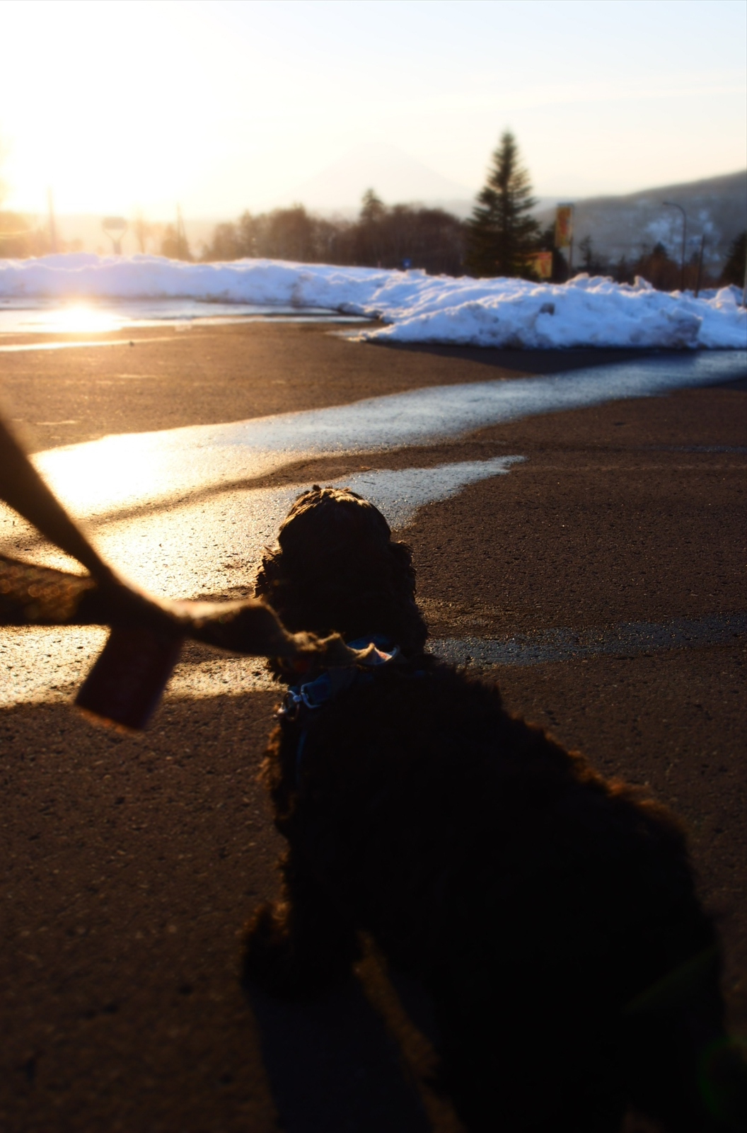 ヴェゼルで1100キロの旅