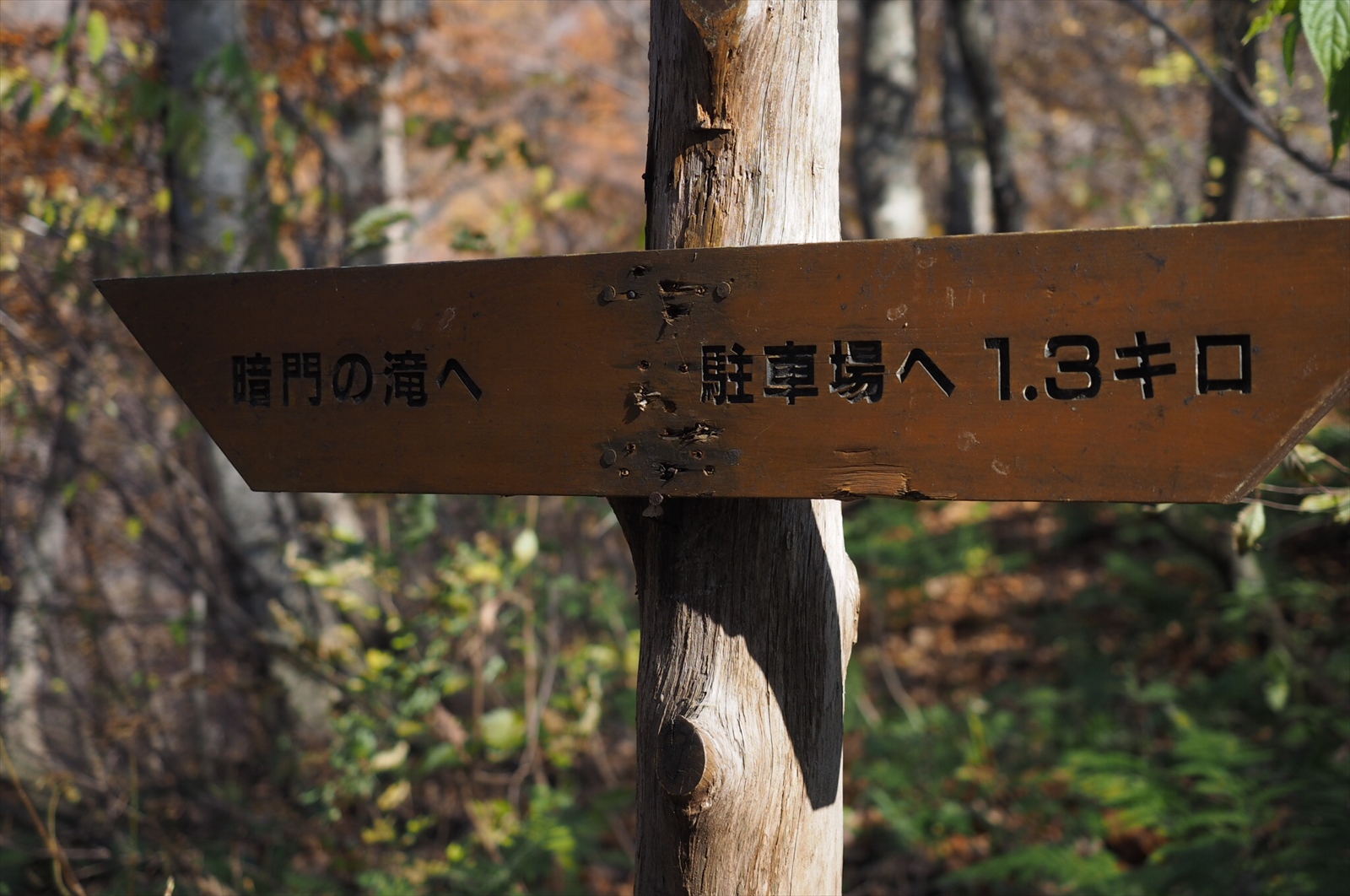 世界遺産白神山地の暗門の滝