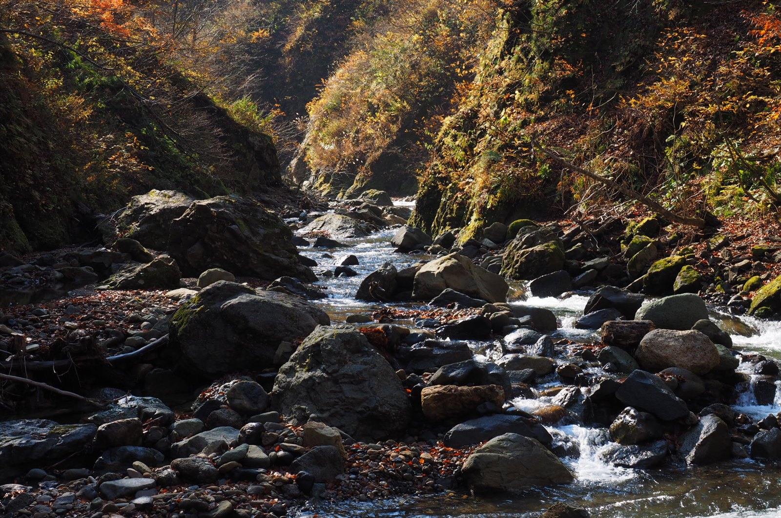 世界遺産白神山地の暗門の滝